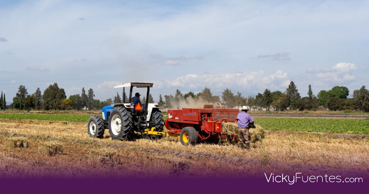 Puebla apuesta por la tecnología agrícola con drones y tractores en 31 microrregiones