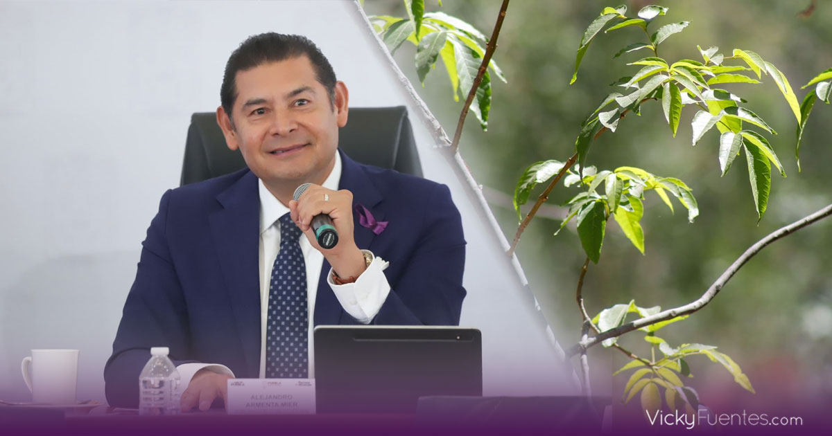 Alejandro Armenta convoca a ambientalistas y rechaza ecocidio por movilidad en Puebla