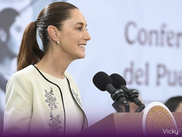 Claudia Sheinbaum duda del apoyo del PT y el Verde para aprobar su plan B electoral