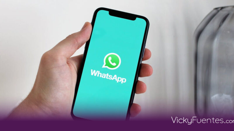 Cómo registrar tu línea con la CURP para no perder WhatsApp en 2026