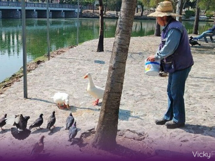 Fauna del Parque Ecológico en Puebla se encuentra sana previo a caninata