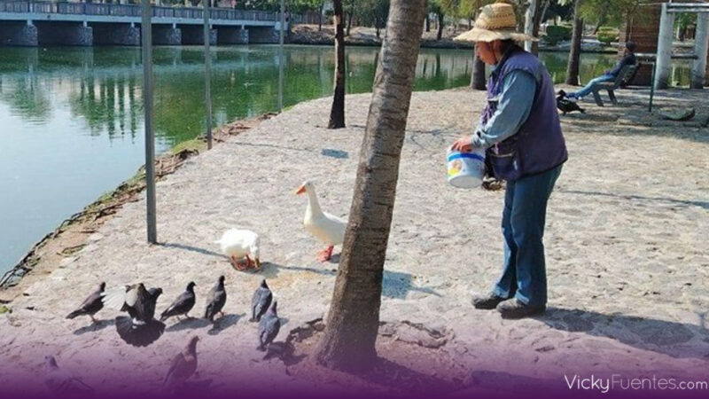 Fauna del Parque Ecológico en Puebla se encuentra sana previo a caninata
