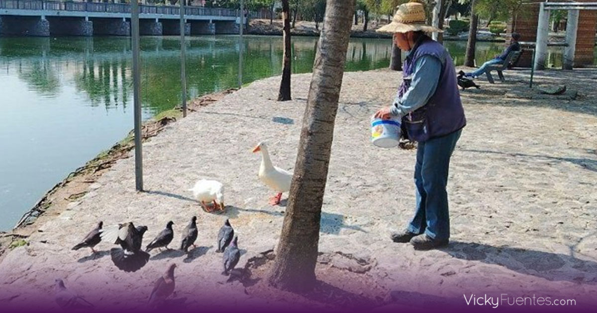 Fauna del Parque Ecológico en Puebla se encuentra sana previo a caninata