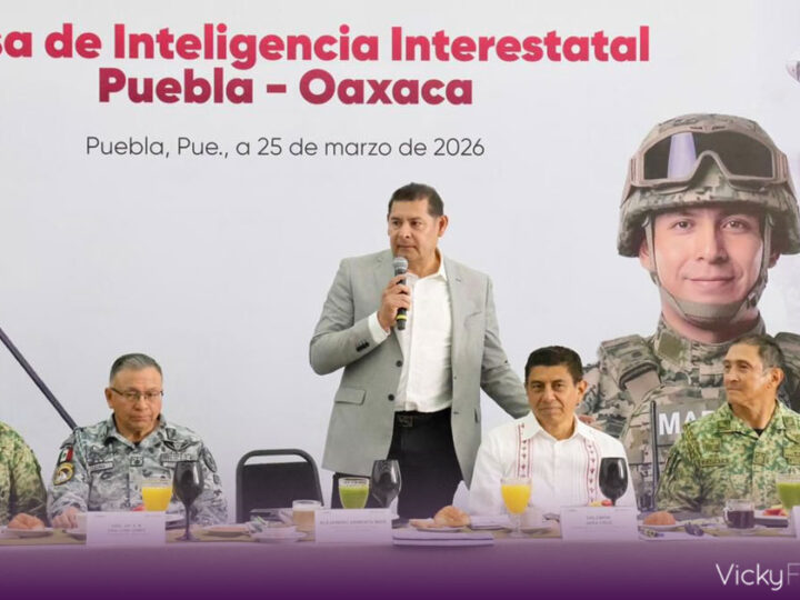 Oaxaca y Puebla fortalecen seguridad en la zona limítrofe