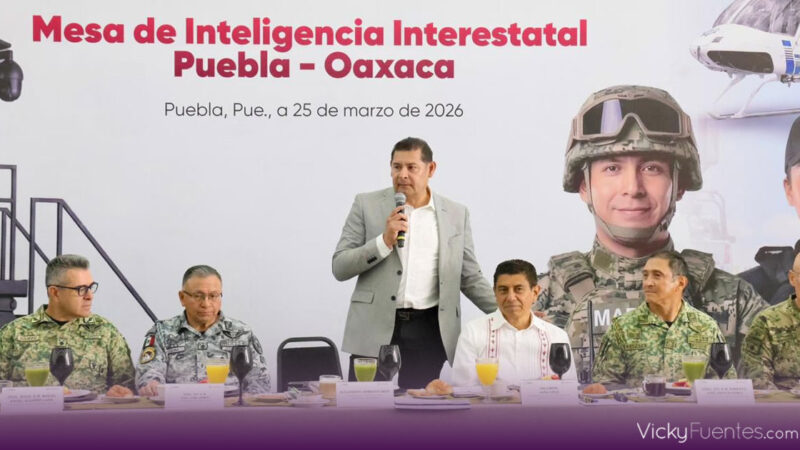 Oaxaca y Puebla fortalecen seguridad en la zona limítrofe