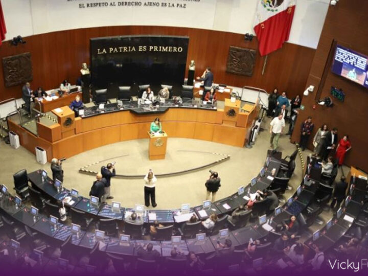 PT y PVEM respaldarán en el Senado el Plan B de la reforma electoral de Claudia Sheinbaum