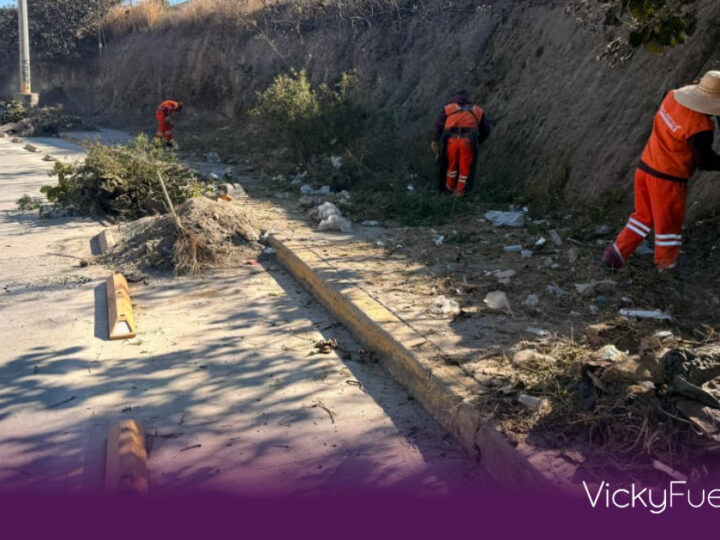 Pepe Chedraui impulsa la movilidad en el Bulevar Carmelitas con intervención integral