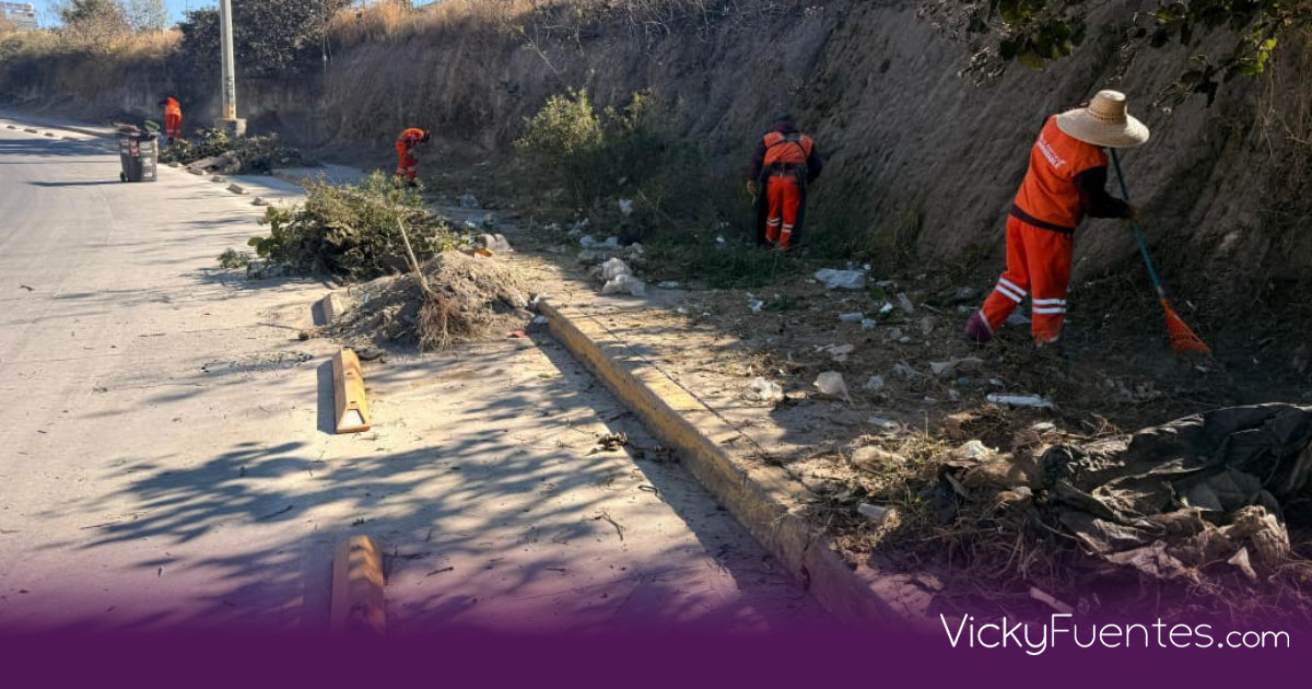 Pepe Chedraui impulsa la movilidad en el Bulevar Carmelitas con intervención integral