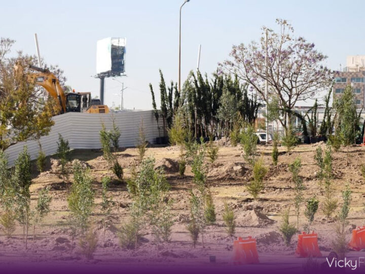 Puebla refuerza su bosque urbano con 2 mil 200 nuevos árboles