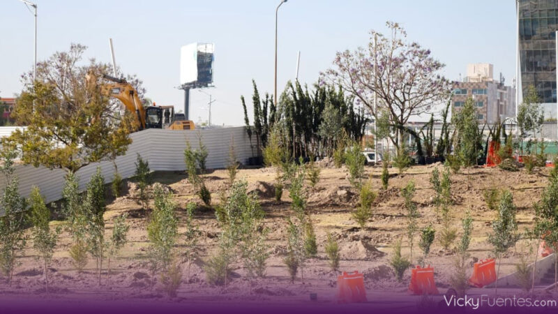 Puebla refuerza su bosque urbano con 2 mil 200 nuevos árboles