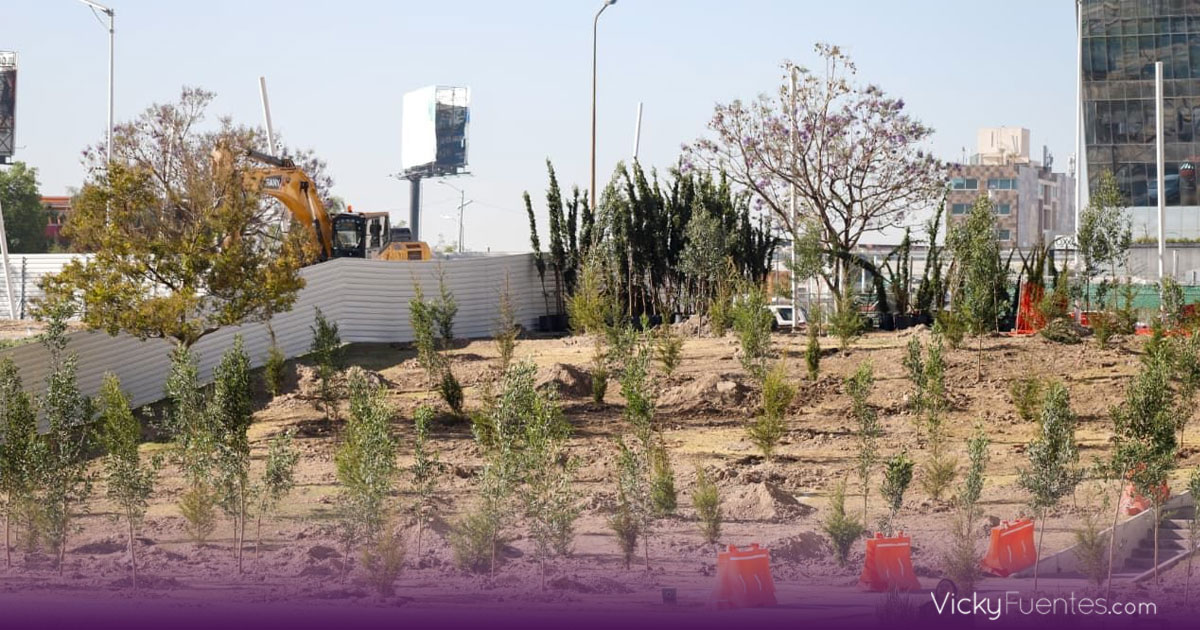 Puebla refuerza su bosque urbano con 2 mil 200 nuevos árboles