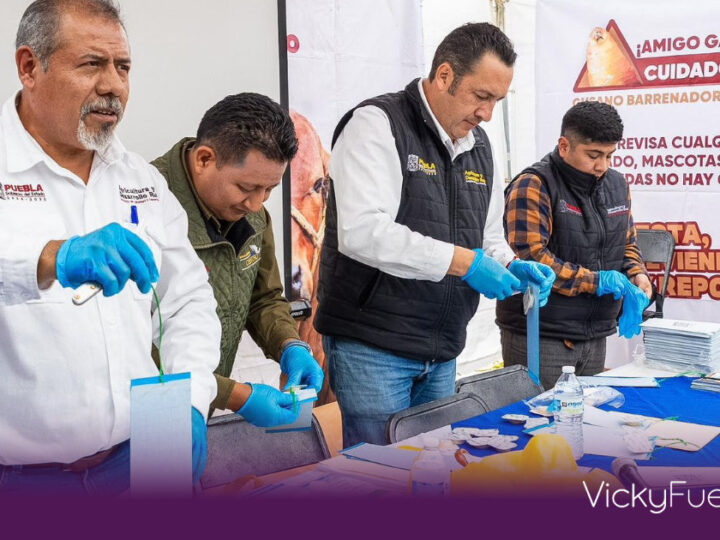 Puebla refuerza el cerco sanitario contra el gusano barrenador en la Sierra Negra