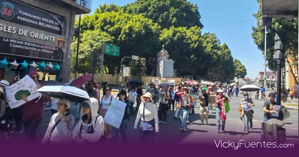 Tribunal ordena suspensión provisional del Cablebús en Puebla ante riesgo ambiental