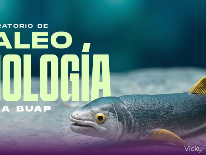 BUAP investiga fósiles en Puebla para anticipar cambios del planeta