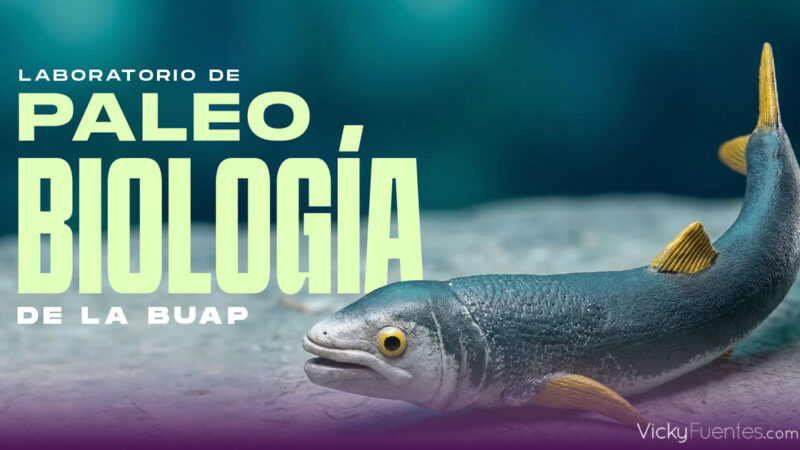 BUAP investiga fósiles en Puebla para anticipar cambios del planeta