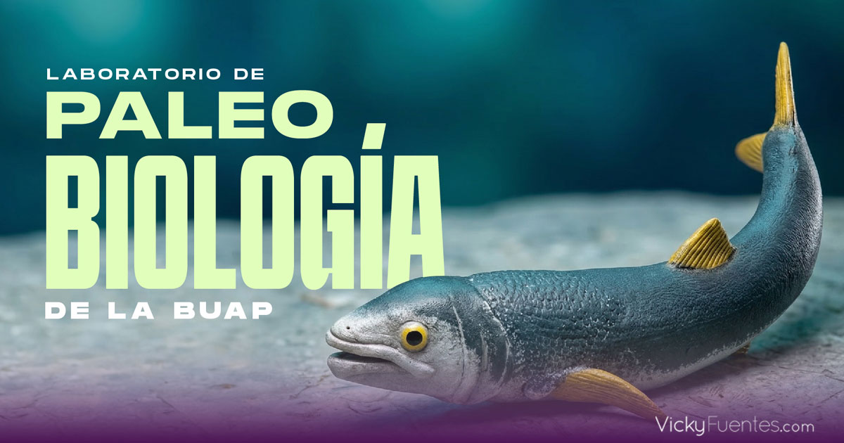 BUAP investiga fósiles en Puebla para anticipar cambios del planeta