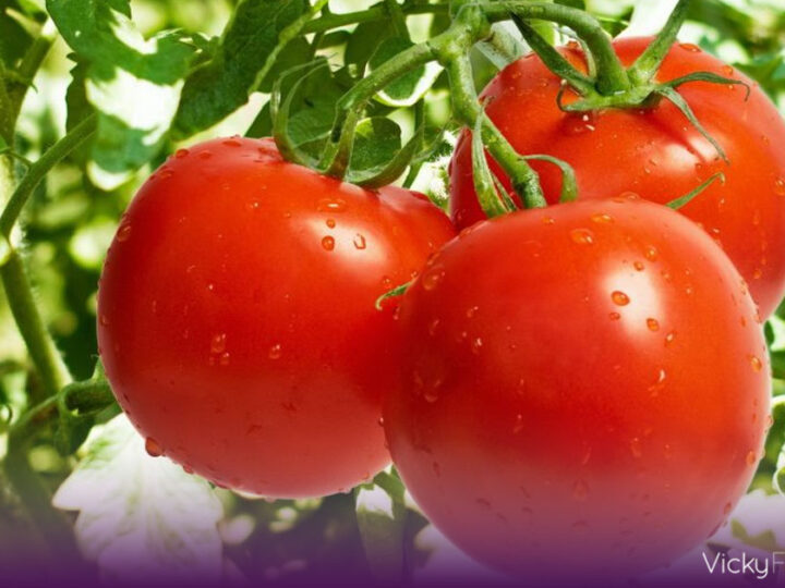 El jitomate dispara el costo de los alimentos y golpea a familias en México