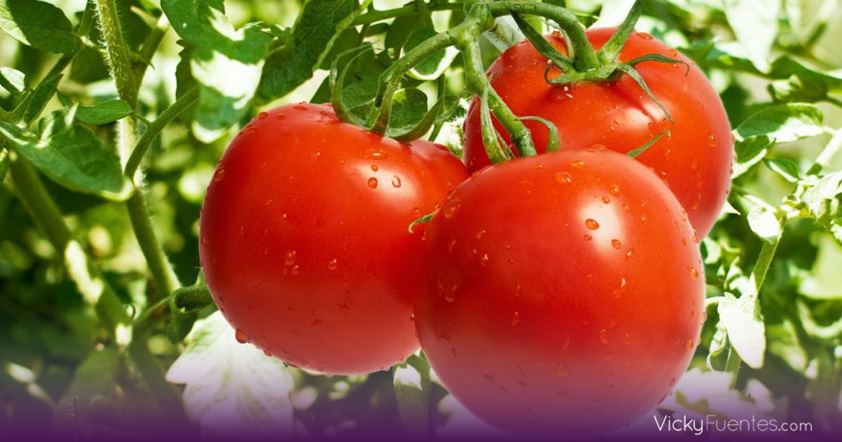 El jitomate dispara el costo de los alimentos y golpea a familias en México