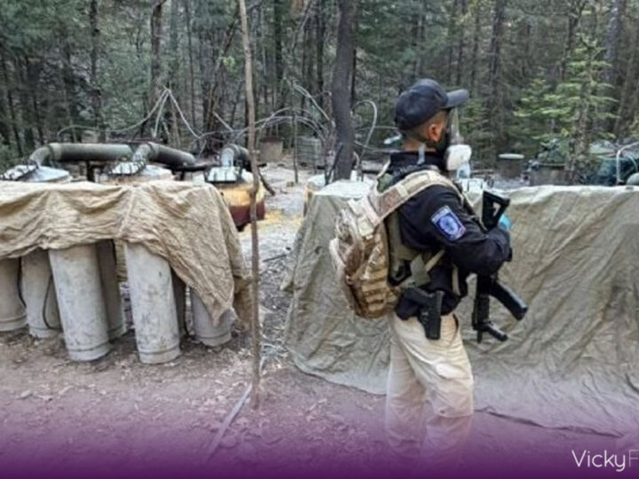 México refuerza postura: agentes extranjeros no pueden operar en el país