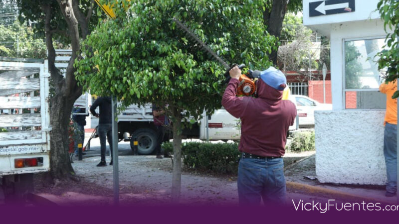 Gobierno de Pepe Chedraui rehabilita el parque Arnulfo Pérez Ruiz con labores de poda y mantenimiento