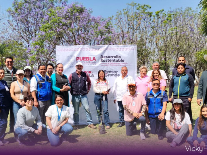 Puebla inicia reforestación con mil 600 árboles en Atlixcáyotl–Quetzalcóatl