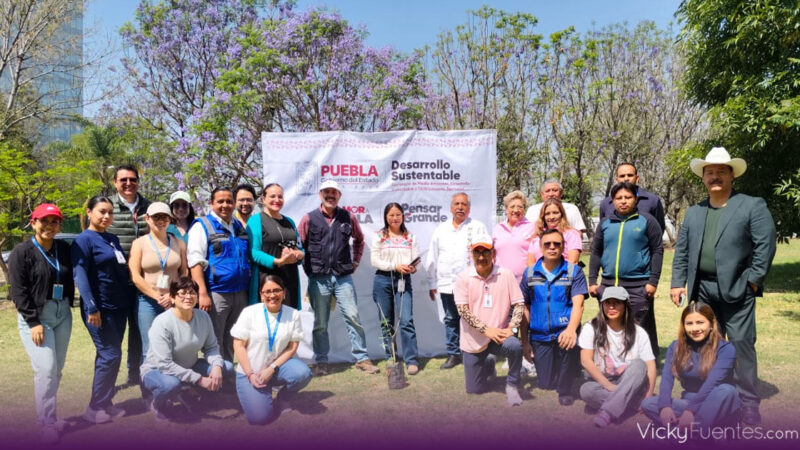 Puebla inicia reforestación con mil 600 árboles en Atlixcáyotl–Quetzalcóatl