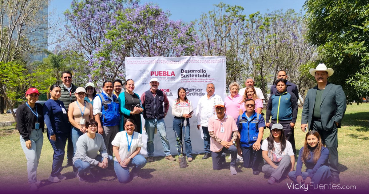 Puebla inicia reforestación con mil 600 árboles en Atlixcáyotl–Quetzalcóatl