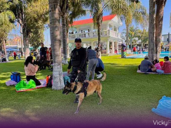 San Andrés Cholula concluye Semana Santa 2026 con saldo blanco