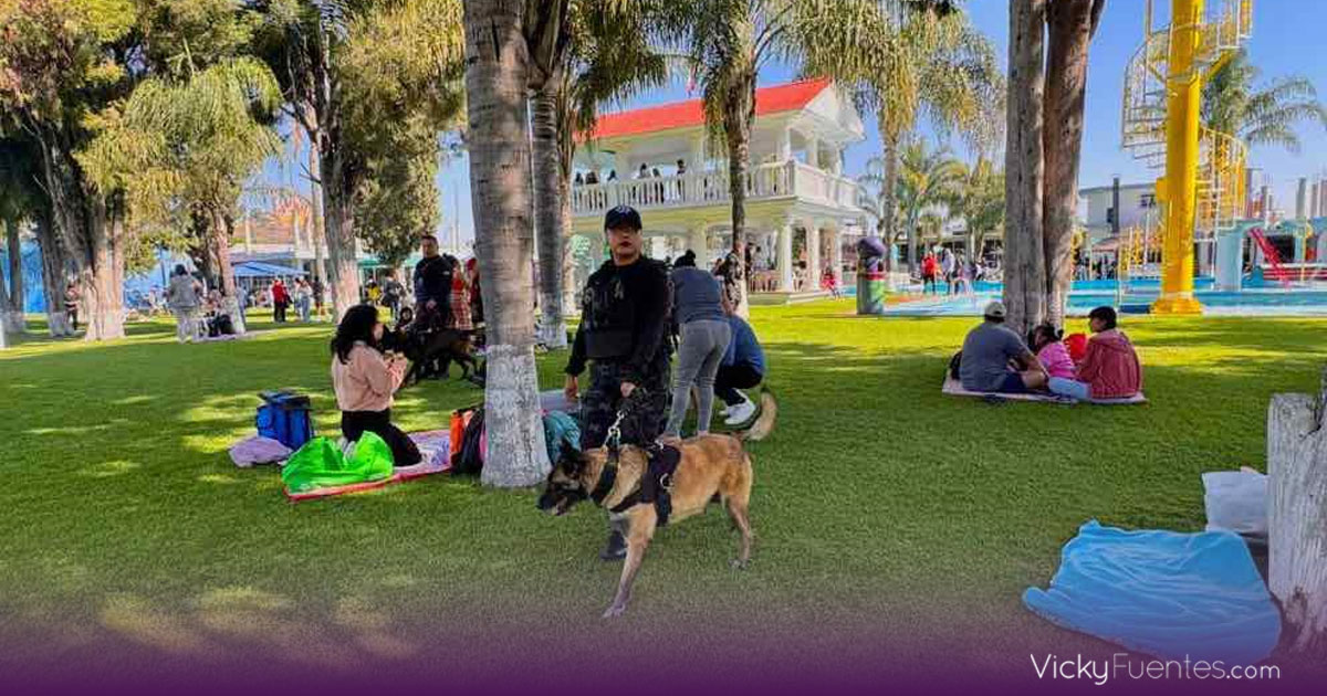 San Andrés Cholula concluye Semana Santa 2026 con saldo blanco