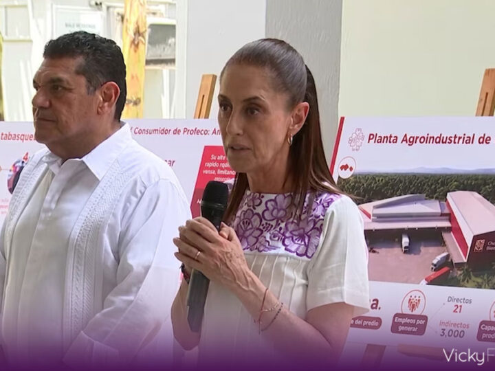 Claudia Sheinbaum da 2 semanas a productores de cacao para crear plan de precios justos