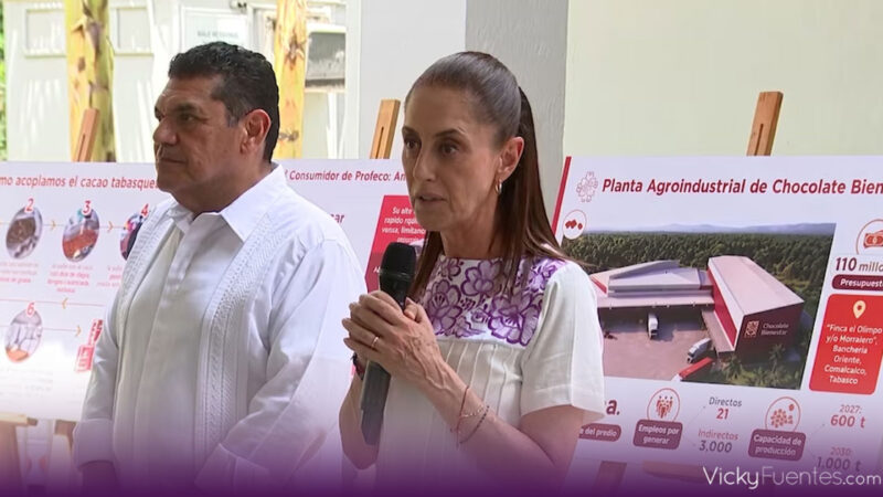 Claudia Sheinbaum da 2 semanas a productores de cacao para crear plan de precios justos