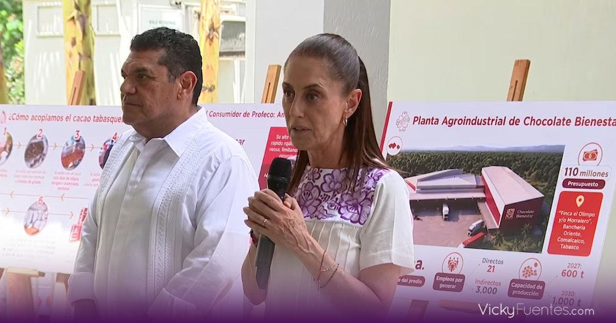 Claudia Sheinbaum da 2 semanas a productores de cacao para crear plan de precios justos