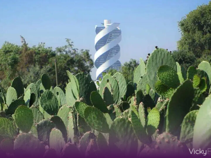 Feria del Nopal 2026 espera atraer a más de 30 mil visitantes en San Andrés Cholula