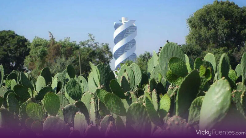 Feria del Nopal 2026 espera atraer a más de 30 mil visitantes en San Andrés Cholula