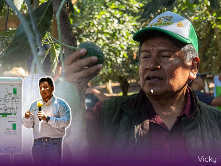 Productores de Puebla reciben capacitación para fortalecer sector aguacatero