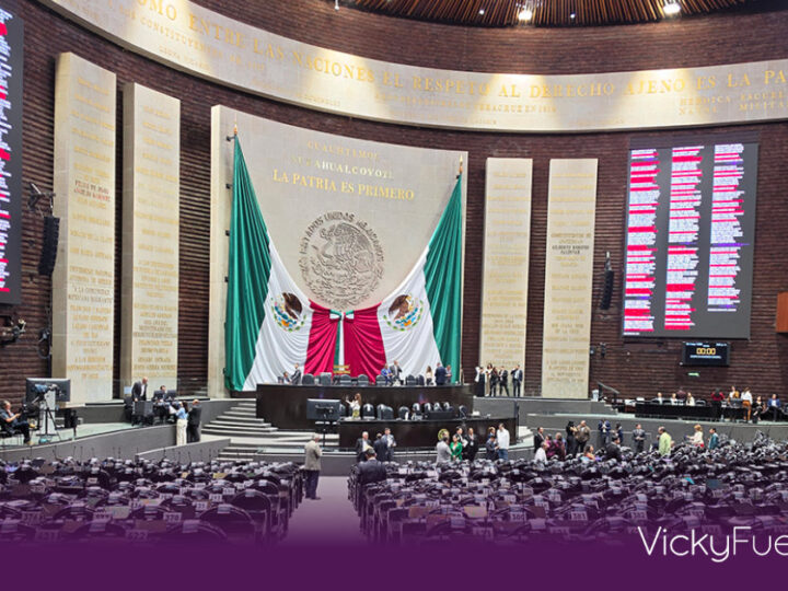 Diputados aprueban reforma constitucional para anular elecciones por intervención extranjera