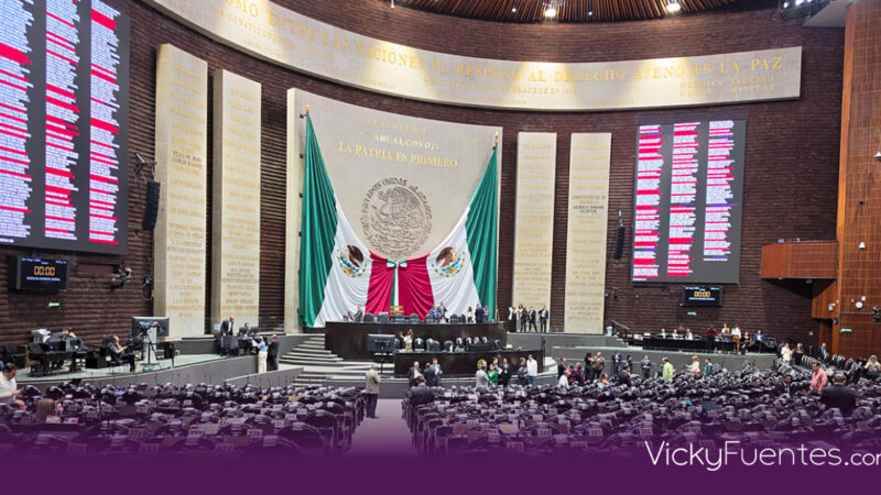 Diputados aprueban reforma constitucional para anular elecciones por intervención extranjera