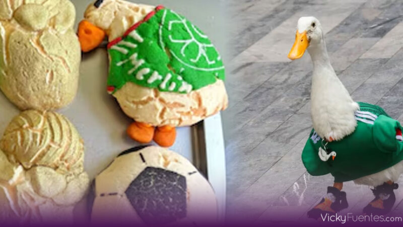 El pato Merlín inspira las Merliconchas, el pan dulce viral del Mundial 2026