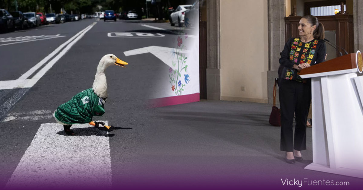 El pato Merlín llega a la agenda pública tras ser invitado a la mañanera