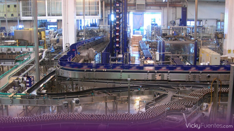 Industria del plástico alerta sobre vacíos comerciales que favorecen productos asiáticos