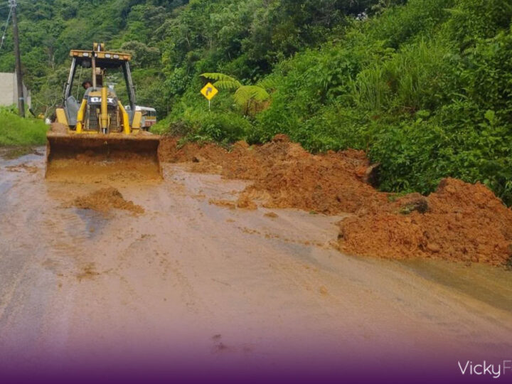 Maquinaria estatal y Protección Civil atienden deslave en carretera de Eloxochitlán