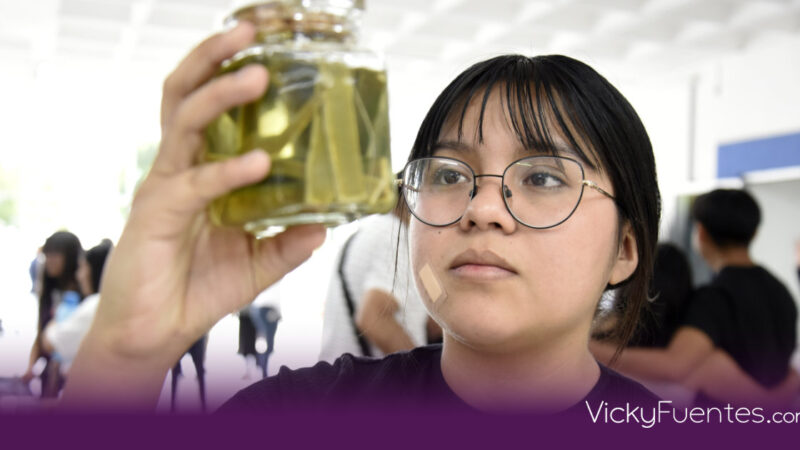 De residuos de agave a fibras textiles sostenibles: innovación desde la BUAP