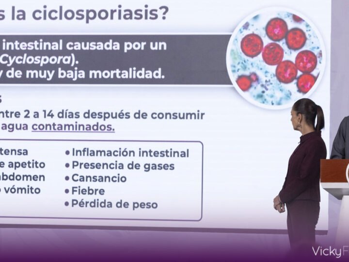 México descarta vínculo entre productos nacionales y brote de ciclosporiasis en Estados Unidos