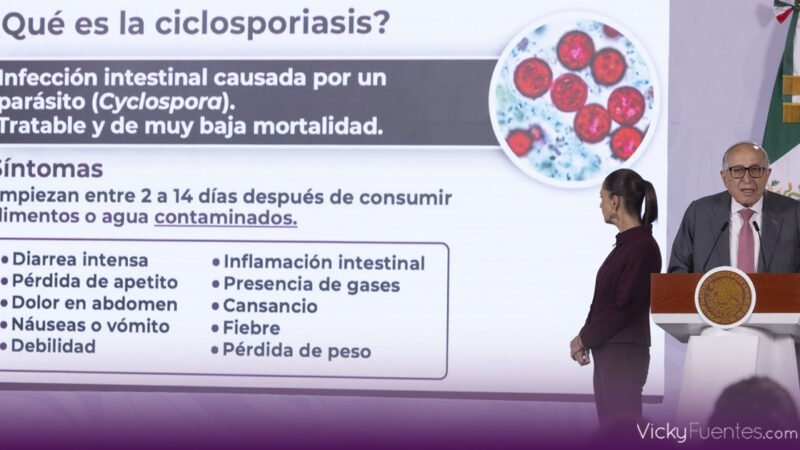 México descarta vínculo entre productos nacionales y brote de ciclosporiasis en Estados Unidos