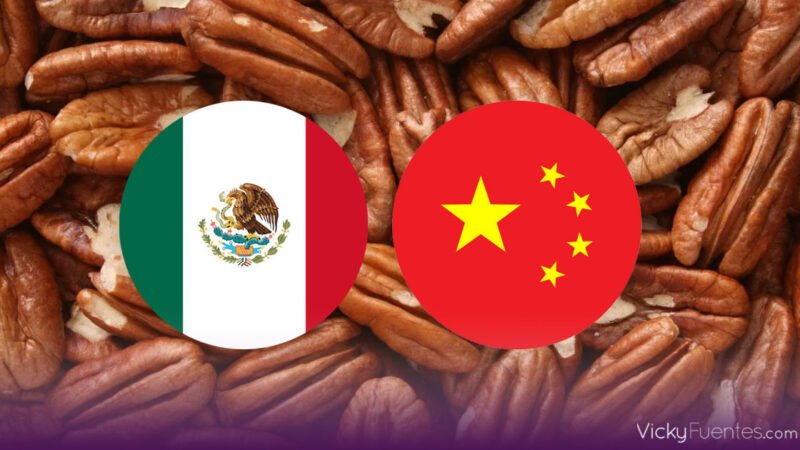 México prepara defensa ante las cuotas antidumping de China a la nuez pecana