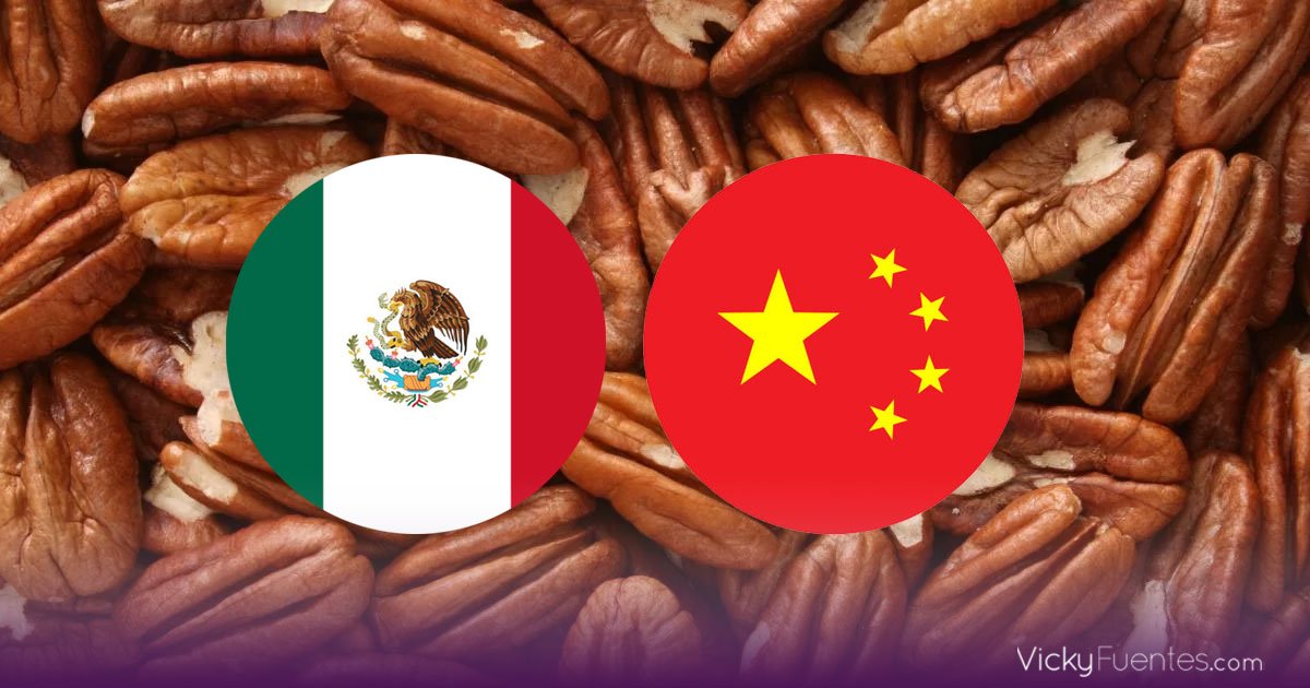 México prepara defensa ante las cuotas antidumping de China a la nuez pecana