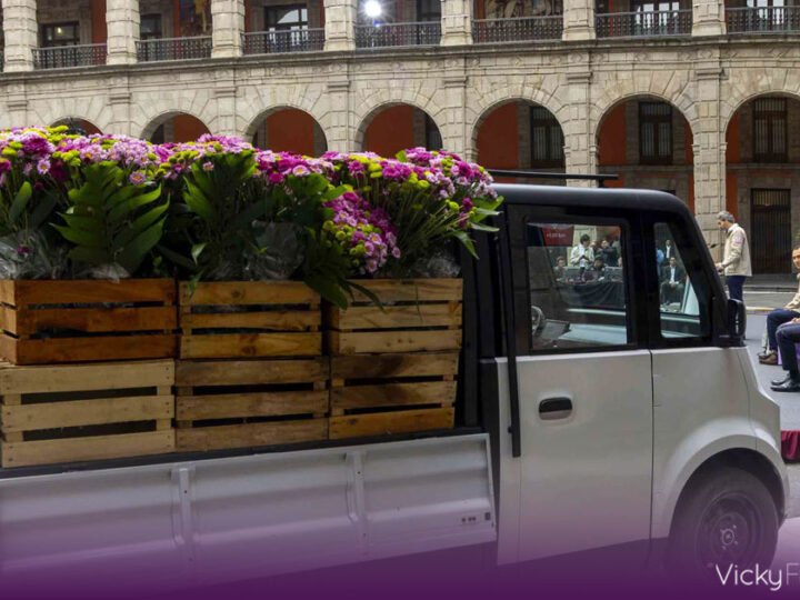 Olinia Carga podrá llevar 659 kilos y costará 150 mil pesos