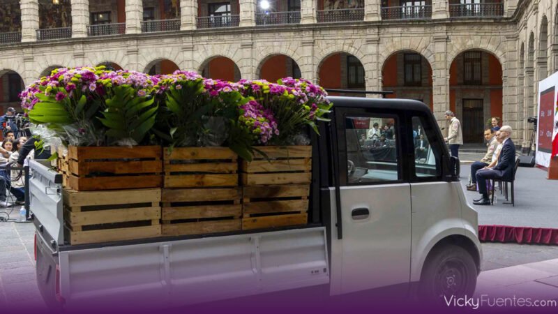 Olinia Carga podrá llevar 659 kilos y costará 150 mil pesos