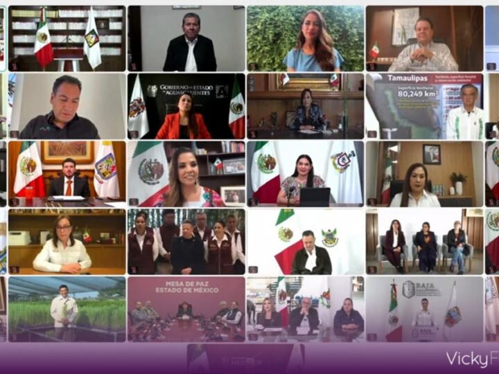 Puebla será el punto de partida de la Jornada Nacional de Reforestación encabezada por Sheinbaum