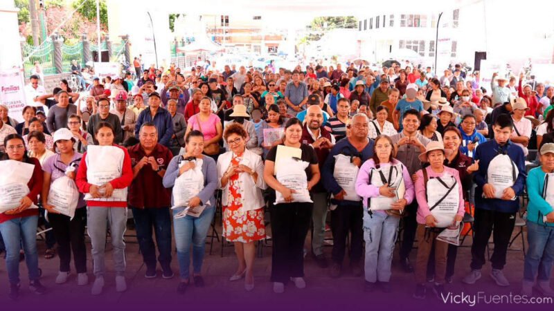 Cuautlancingo recibe más de 4 mil despensas del SEDIF